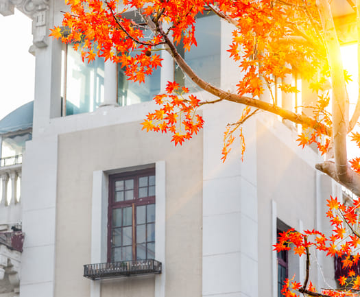 imobiliarias figueira da foz