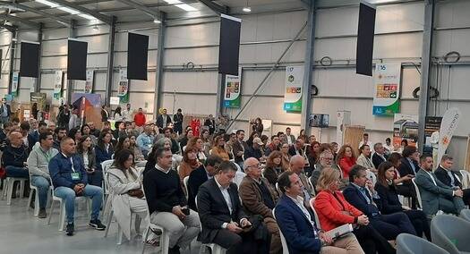 investimento figueira da foz